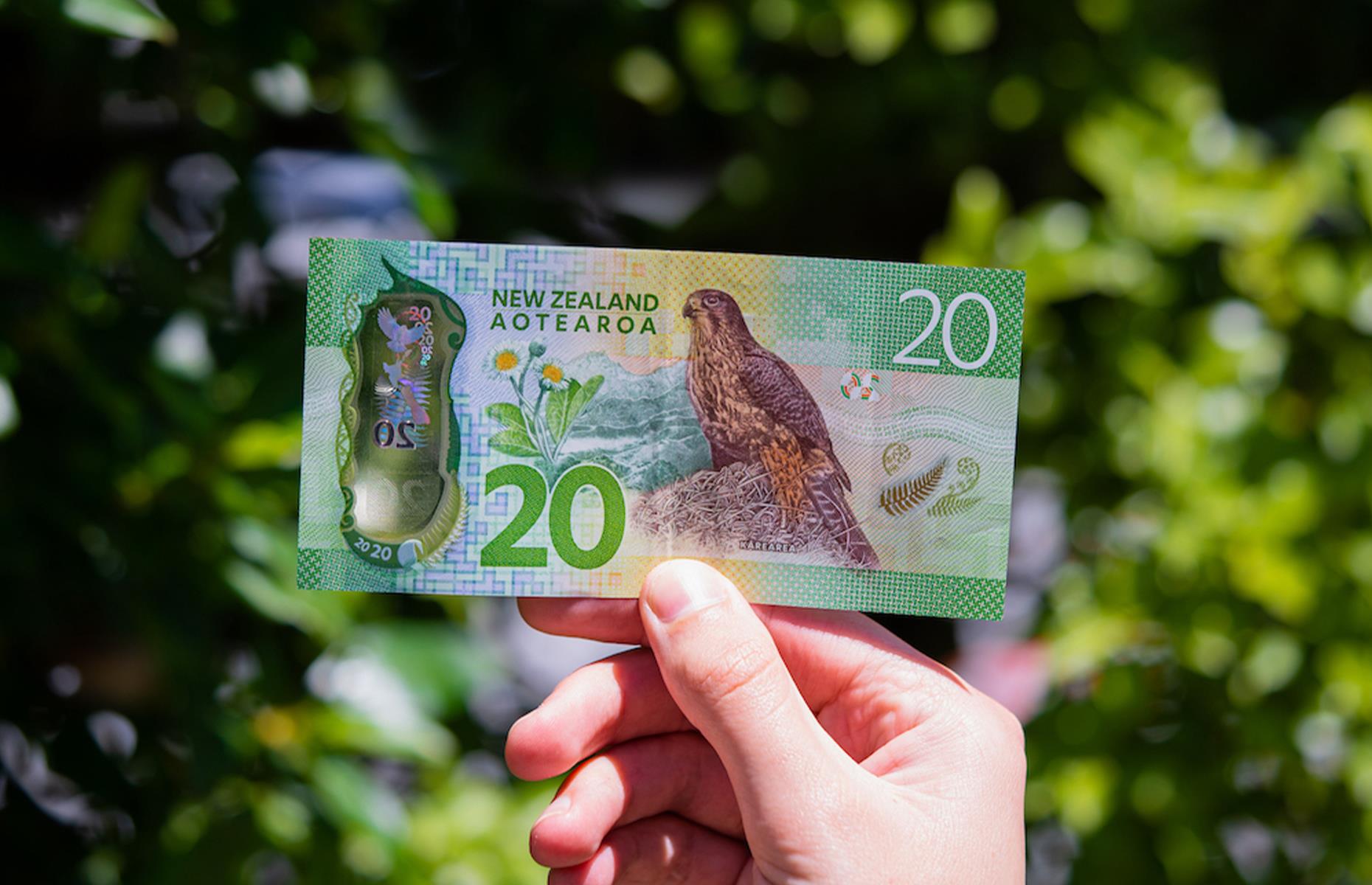 New Zealand dollar: 0.8 ppm